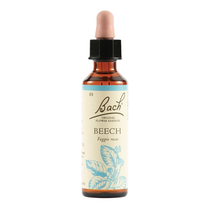 Beech bach orig 20 ml main product photo