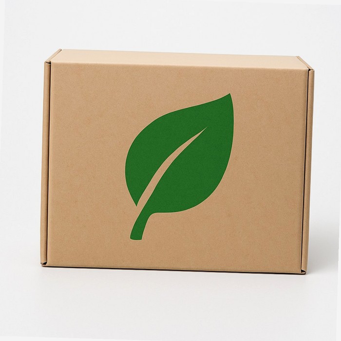 Cystiphane ds sh a/forf intens main product photo