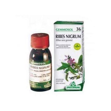 Ribes nigrum mg 100ml specch - 