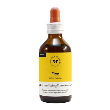 Fico gemme 100ml mg - 