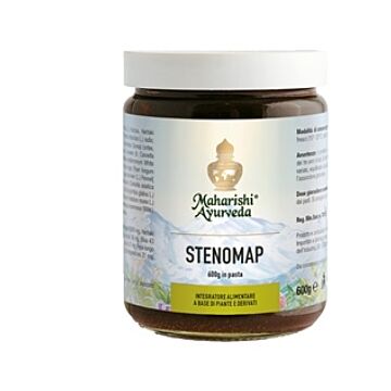 Stenomap pasta 600 g - 