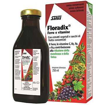 Floradix ferro e vitamine 250 ml - 