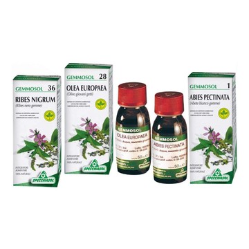 Gemmosol 48 mirtillo ro 50ml - 
