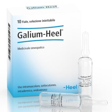 Galium 10f 1,1ml heel - 