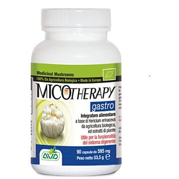 Micotherapy gastro 90cps - 
