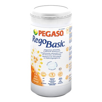 Regobasic polvere 250g - 
