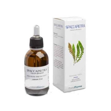 Spaccapietra soluzione idroalcolica 50 ml - 