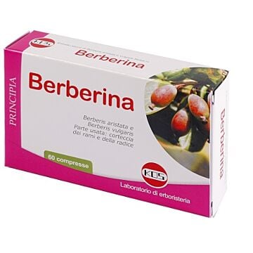 Berberina da berberis vulgaris estratto secco 60 compresse - 