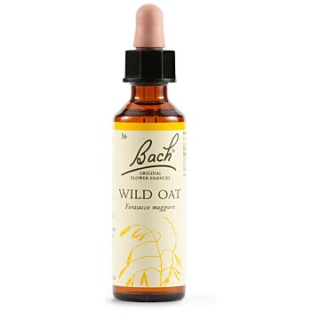 Wild oat bach orig 20 ml - 