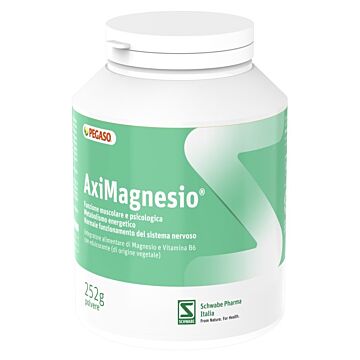 Aximagnesio polvere 252 g - 