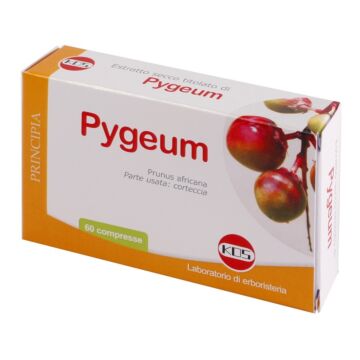 Pygeum estratto secco 60 compresse - 