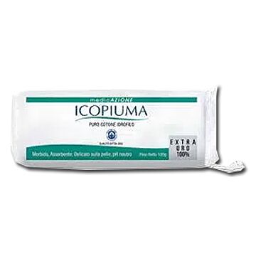 Icopiuma cotone ex india 250g - 