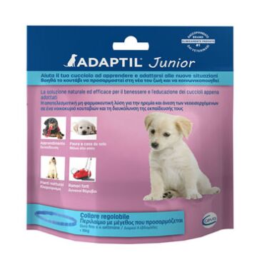Adaptil junior collare - 