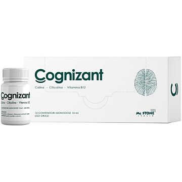 Cognizant 10fl - 
