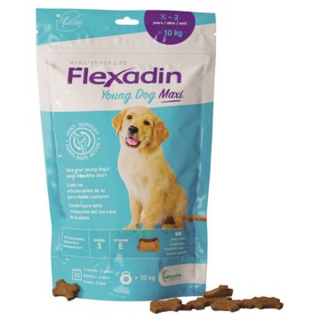 Flexadin young dog maxi 60 tavolette appetibili - 