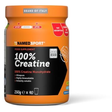100% creatine 250 g - 