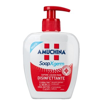 Amuchina xgerm sapone disinfettante 250 ml - 